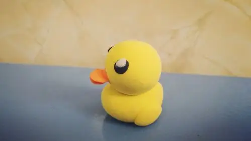 春蕾幼儿园学前班《彩泥小胖鸭》