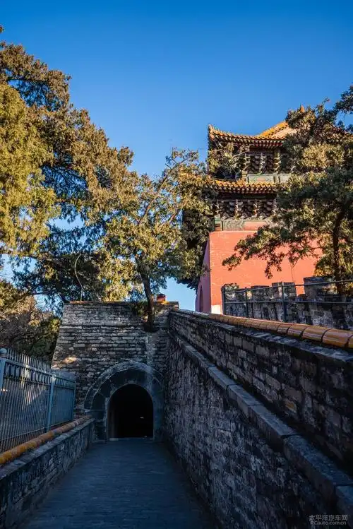 原创今夜星光灿烂游明长陵及拍摄2020年最亮彗星之散记