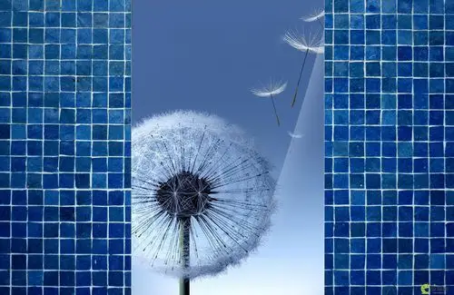 三星的蒲公英水滴效果原来山寨了puddle drops.