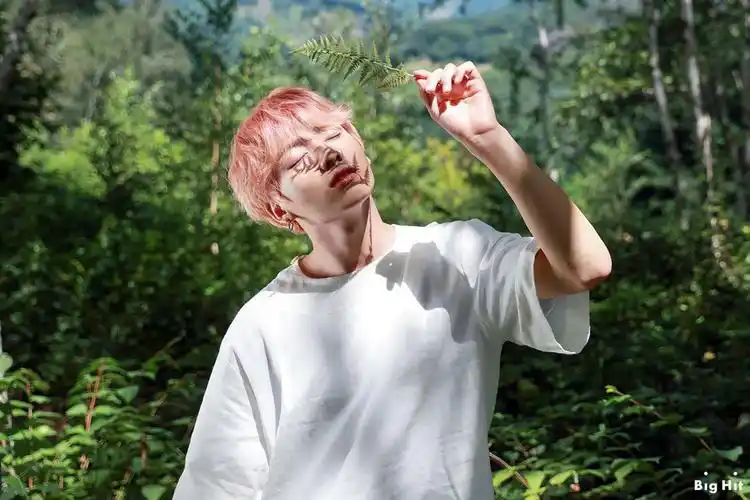 防弹少年团 田柾国 红发 - 堆糖,美图壁纸兴趣社区