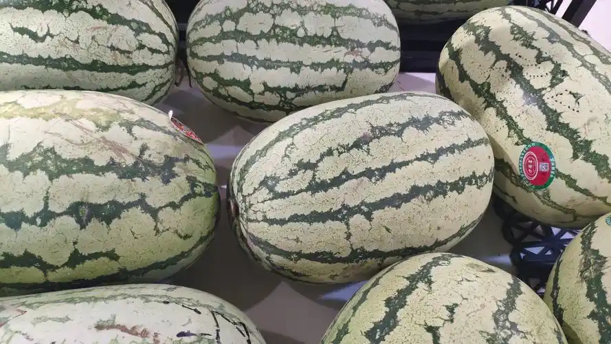 随笔(一三四八)|石头瓜(二)