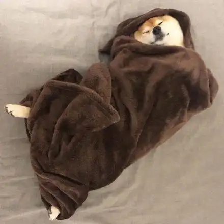 掀老公被子表情包 - 掀老公被子微信表情包 - 掀老公被子qq表情包 -