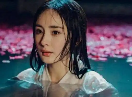 杨幂被拍到90度向导演鞠躬,让众人看了不禁赞叹_赵丽颖_时间_班机