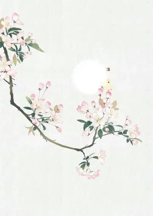 花の壁纸&背景图