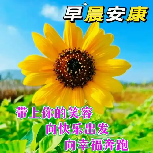 最新版早上好表情图片,精选早安漂亮图片带字问候祝福语_吉祥_朋友