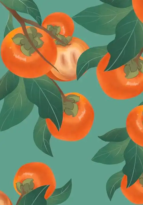 一月柿子|插画|商业插画|adnana - 原创作品 - 站酷 (zcool)