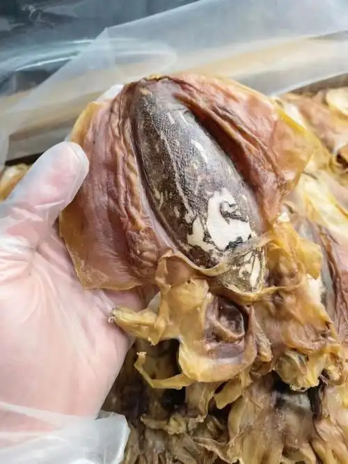 15头淡干墨鱼干