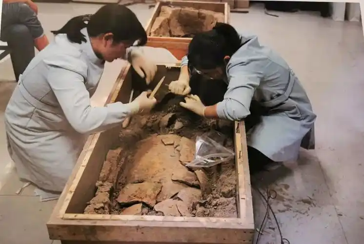 揭秘河洛古国先民生活