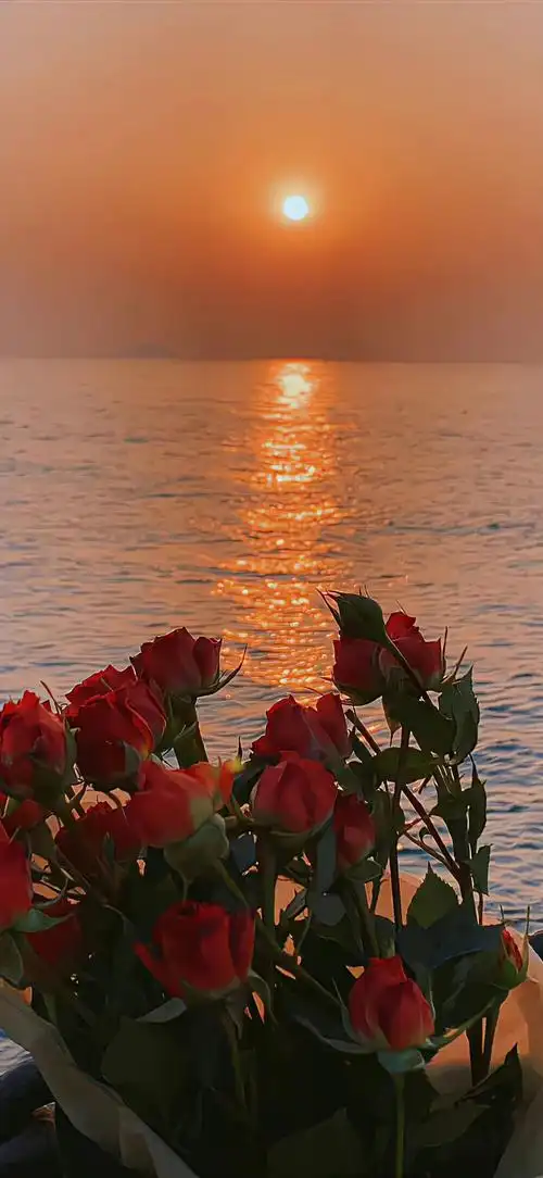 浪漫与悲观并不冲突我时常消极但又觉得生活很美好