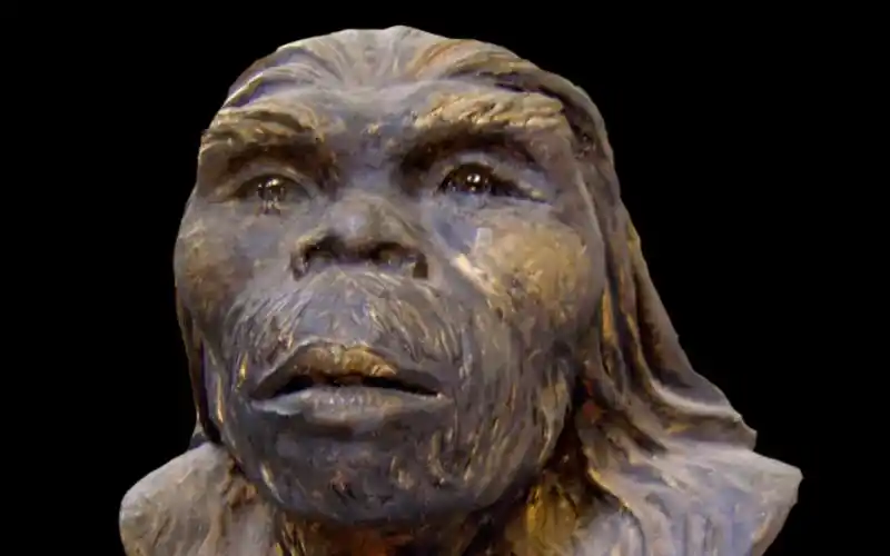 原始人,起洞!一起探秘中国人古老的祖先——北京猿人