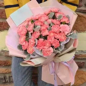 33朵粉色康乃馨花束生日妇女节教师同城速递黄石咸宁荆州花店送花