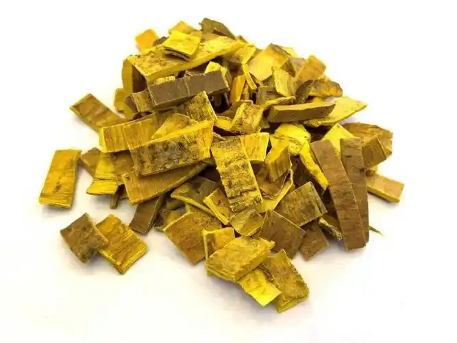 每周一药之黄柏_膀胱_黄褐色_饮片