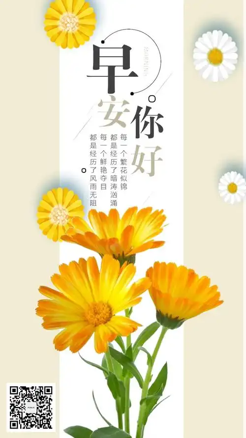 简约唯美早安日签早安问候祝福海报