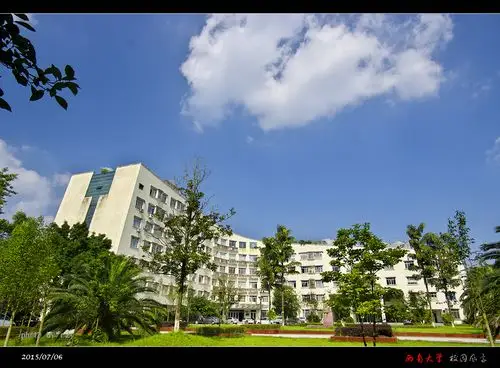 有你的四季无需远行(西南大学校园风景) - 自然摄影