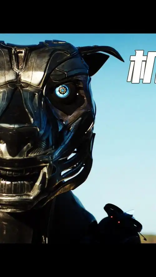 这条狗能帮忙解决问题还能保护主人电影机械猛犬