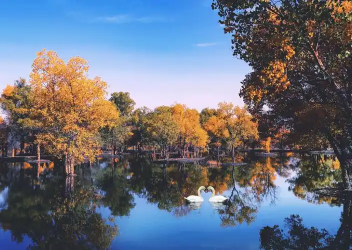 【中华摄影文学精英群】原创优秀作品展(第57期)