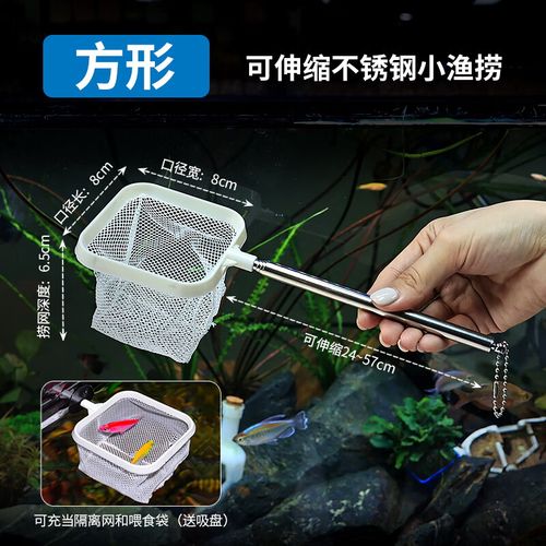 鱼网鱼捞3d立体小鱼网捞抄网可伸缩圆形方形渔捞虾水族箱水晶虾捞