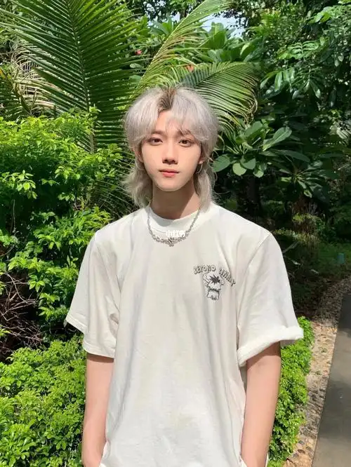 帅到掉渣的男生狼尾发型