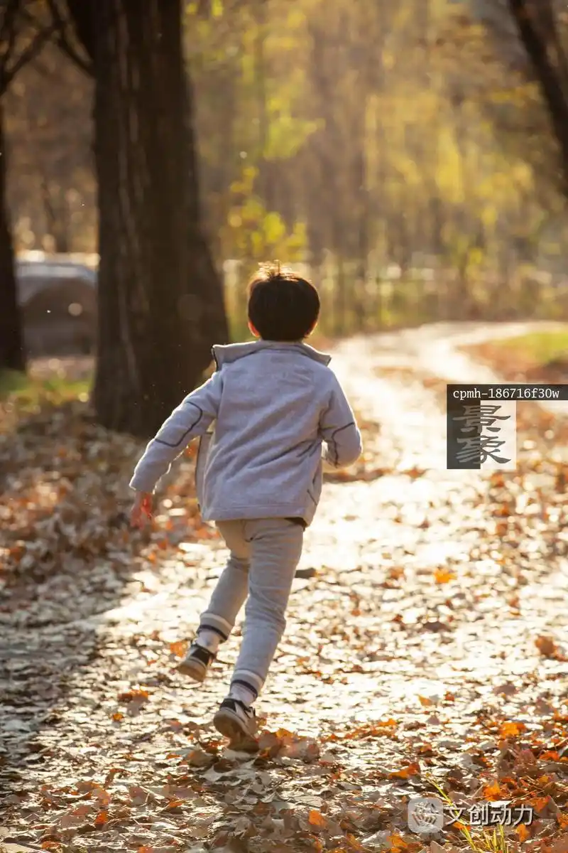 快乐男孩在户外奔跑的背影
