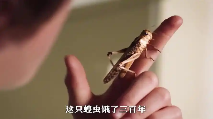 单身妈妈为养孩子,用血喂蝗虫,蝗虫却变异吃人