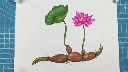 简笔画莲藕荷花,出淤泥而不染,濯清涟而不妖