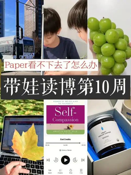 读博日记读不动paper了怎么办0969