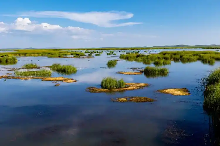 若尔盖花湖——我国重要的湿地【已上麻辣首页】
