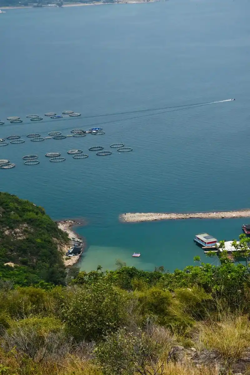 插望旗深圳超小众小山避开人海看山海