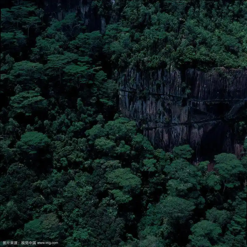 非洲塞舍原始森林