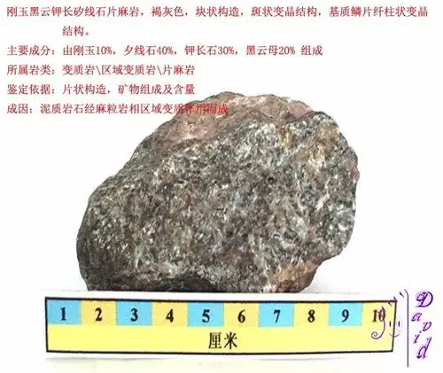 三大岩类190种岩石鉴定图册,看完你就是专家!