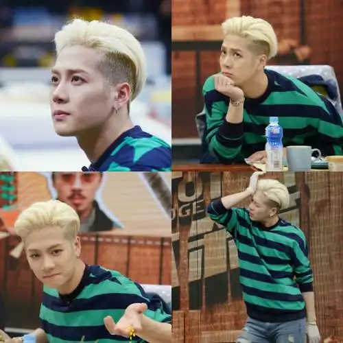 拜托了冰箱王嘉尔