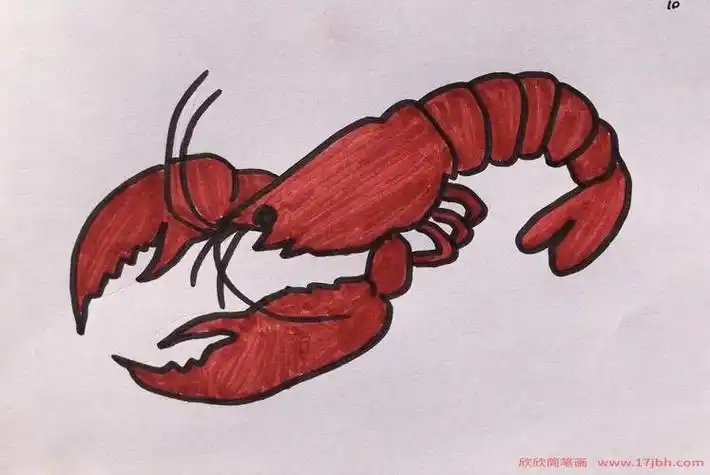 大龙虾的简笔画大图