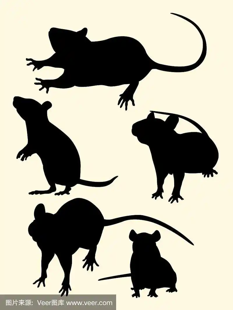 老鼠,老鼠,动物手势剪影
