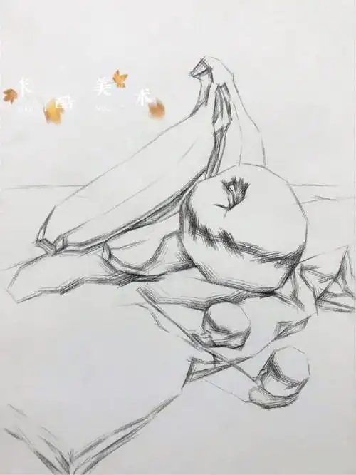 美术素描静物写生香蕉苹果