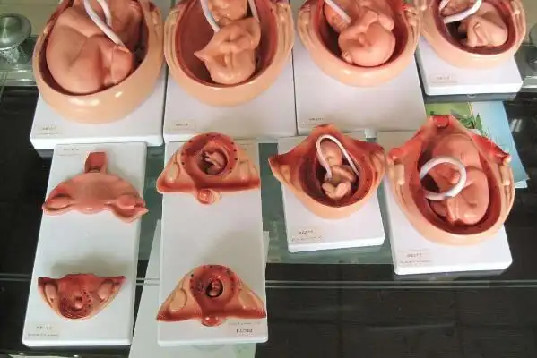 转胎药中含有甲基睾丸酮孩子性别认识障碍损伤极大