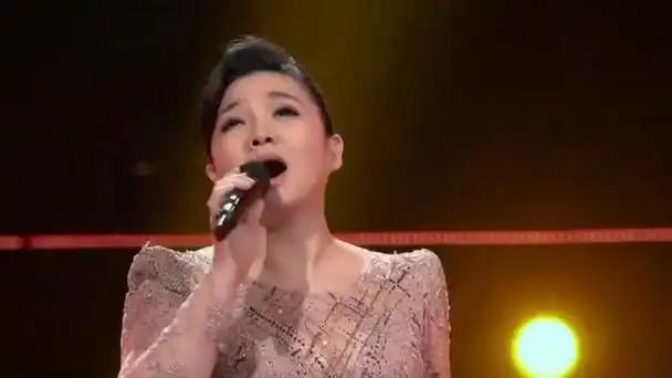王莉《灯火里的中国》,歌声饱含深情,温暖人心