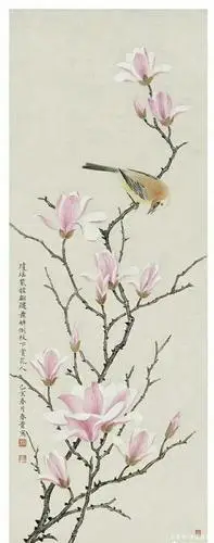 「欣赏」精品工笔玉兰图(50幅)