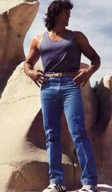 西尔维斯特·史泰龙相关图片