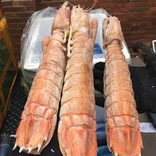 巨无霸鲜活熟冻超大皮皮虾大虾特大濑尿海鲜虾姑虾类制品