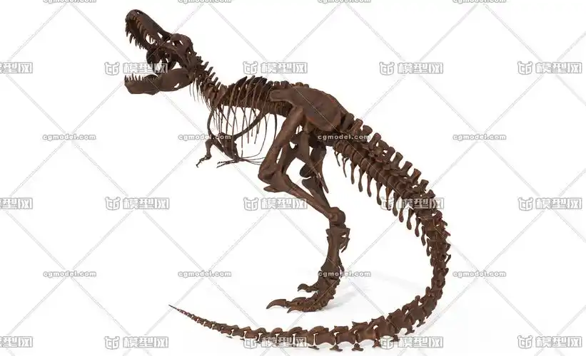 写实霸王龙骨架模型