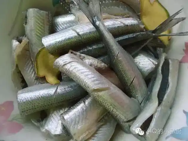 春天的大棒鱼新鲜肉厚 用这种方法烹制 直接当零食吃