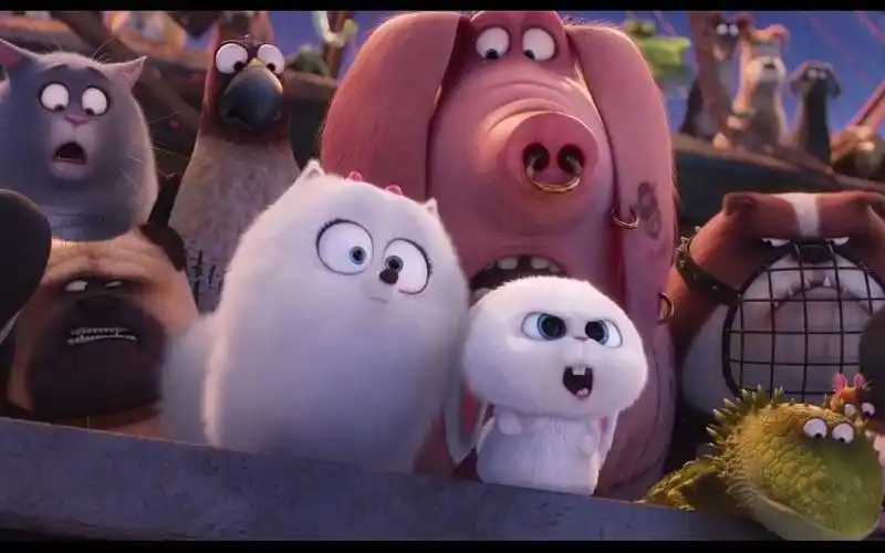 兔老大的花式操作