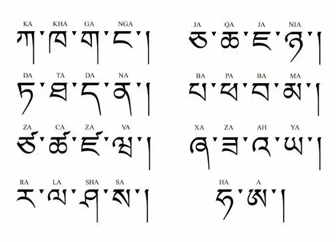 藏文30个辅音字母和四个元音的书写笔顺