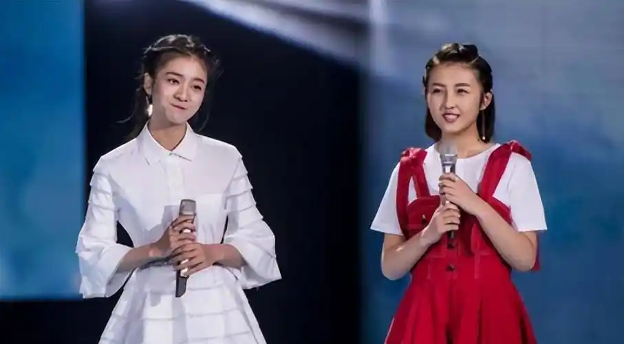 有人黯淡退圈,有人口碑翻车,有人稳居顶流_蒋依依_张雪迎_陆子艺