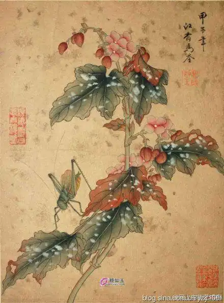 清代画家恽冰真迹作品清代姓殷的女画家马荃马荃没骨花鸟画没骨草虫