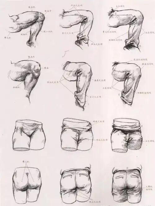 速写干货速写衣服褶皱规律总结轻松搞定