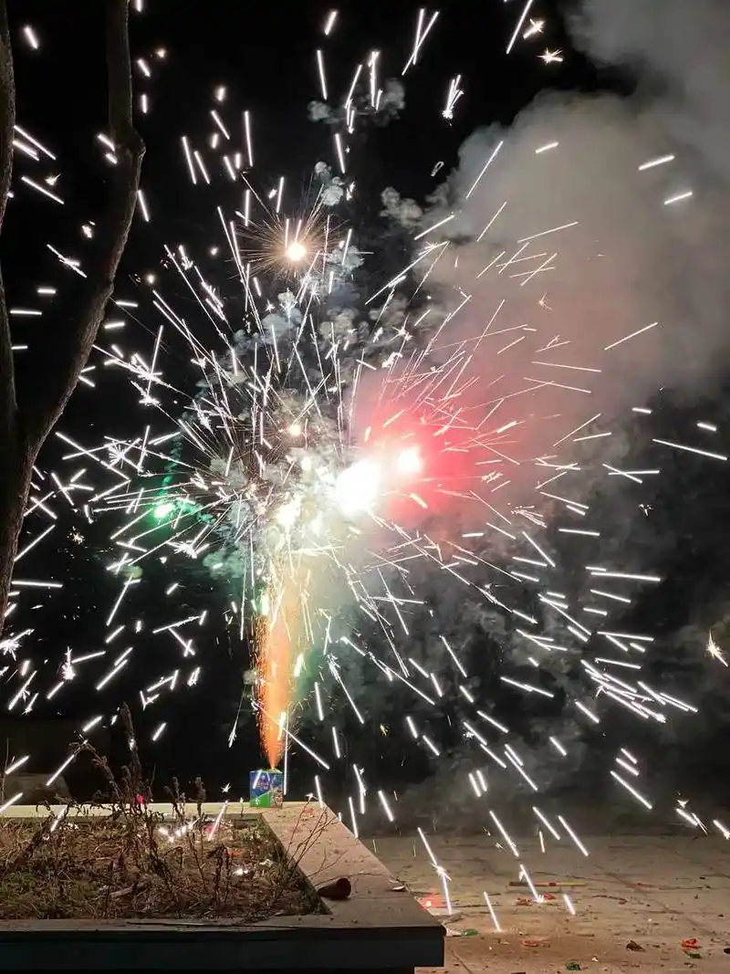 rex每一帧都是表情包0992#烟花 - 抖音