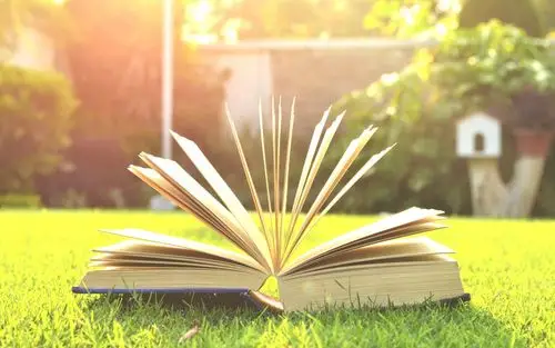 书,草,阳光 壁纸 - 1920x1200