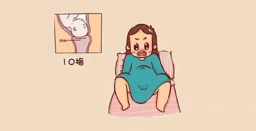 "开十指"到底什么意思?看完心疼妈妈一百遍!_宫口