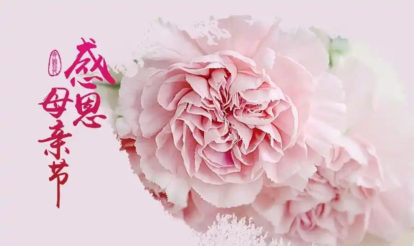 2017《妈妈我爱你》镇江大港访谈节目,献给母亲节!